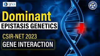 Dominant Epistasis Genetics CSIRNET 2023 Gene Interaction [upl. by Hootman]