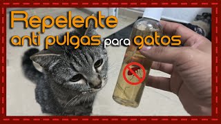 Protege a tu felino Repelente anti pulgas natural para gatos [upl. by Richardson]