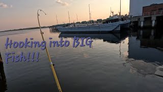 Fishing the Curtis bay Coast Guard Port [upl. by Ardnuaed]