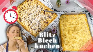 BLITZ BLECHKUCHEN  2 Blechkuchen in 30 Minuten  Kuchen vom Blech für Grillparty [upl. by Earla]