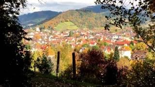 Freiburg Lorettoberg Blick auf Schlossberg Herbst 2016 [upl. by Margot]