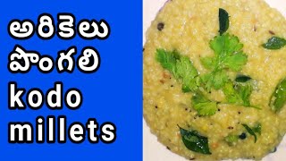 Kodo millet pongal millet pongal recipeఅరికెలు పొంగలిarikelu pongalMillets Recipe [upl. by Eniladam]