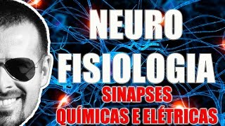 Sinapses Químicas e Elétricas  Sistema Nervoso  Neurofisiologia  VideoAula 083 [upl. by Barfuss]