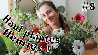 Haul plantes extérieur  nouveaux arbustes grimpants et fleurs pour des jardinières [upl. by Norrabal917]