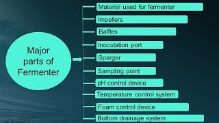 Design of Fermentor in Hindi  Microbiology with Sumi [upl. by Abrahan191]