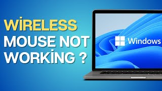 How to Fix Wireless Mouse Not Working on Windows [upl. by Faustine]