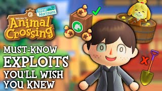 10 Exploits I WISH I Knew Sooner  Animal Crossing New Horizons [upl. by Atnoek]