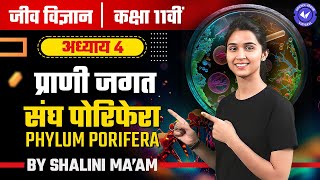 संघ पोरीफेरा  Phylum Porifera L 3  प्राणी जगत  Class 11th Biology Chapter 4 by Shalini Maam [upl. by Akir]