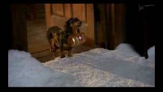 Dachshund Mighty Dog Commercial [upl. by Artenehs]