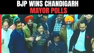 Chandigarh Mayor Election Result  BJP Wins Mayoral Elections In First Poll Battle Versus INDIA Bloc [upl. by Irt]