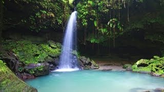 Dominica Travel Video Guide [upl. by Aydan]