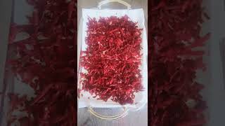 homemade beetroot powder Beetroot powderantiaging skincarebeetrootbenefitsforskin beauty [upl. by Hartwell]