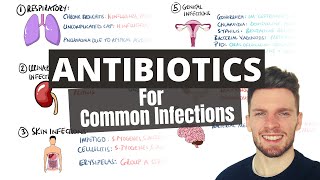 Antibiotic Choices for Common Infections Antibiotics Mnemonic  How to Choose an Antibiotic [upl. by Enyalaj780]