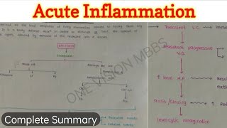 Acute Inflammation 44  Vascular and Cellular Events  Summary [upl. by Annohsed67]