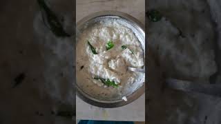 curd rice recipe in tamil  shorts  Curd rice [upl. by Fortune]