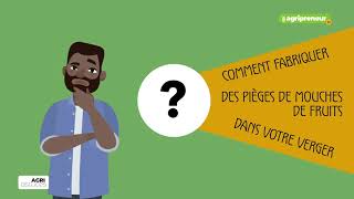 Agri Astuces  Comment lutter contre les mouches de fruits [upl. by Button340]