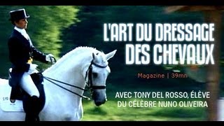 Equitation  Lart de dresser les chevaux [upl. by Nidya]