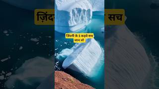 ज़िंदगी के 5 कड़वे सच जान लो sifma satisfying diy motivational yiutubeshort quotes [upl. by Camfort973]