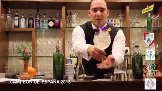 CAMPEÓN DE ESPAÑA 2015 DE GIN TONIC [upl. by Tarr125]