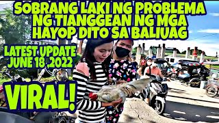 TIANGGE NG MGA HAYOP SA BALIUAG  JUNE 18 2022 UPDATE  MGA SELLER MALAKI ANG PROBLEMA vlog412 [upl. by Etan378]