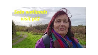 wetlands part 2 [upl. by Brigham]