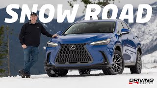 2022 Lexus NX 250 AWD Review and Snow Mountain Adventure [upl. by Gibun]