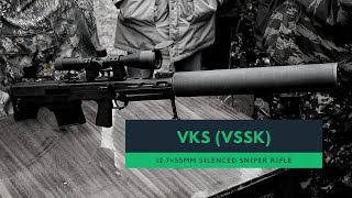 About VKS VSSK 127mm Silenced Rifle of the Russian special forces [upl. by Kynan]