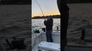 Epic Salmon Fishing on Lake Ontario NY  Catching Monsters in Upstate New York [upl. by Esdnil]