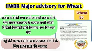 IIWBR advisory 1630 Jan 24 for Wheat ਪਿਛੇਤੀ ਕਣਕ  ਯੂਰਿਆ ਉੱਲੀ ਰੋਗ  ਕੱਦ ਰੋਕਣ ਵਾਲਾ ਸਪਰੇਅ [upl. by Annoj]