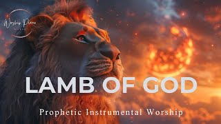 Prophetic Warfare Instrumental WorshipLAMB OF GODBackground Prayer Music [upl. by Nnylasor]