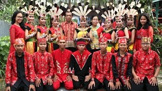 Musik Tari Penyambutan Sanggar Riwut Tarung [upl. by Noxas]