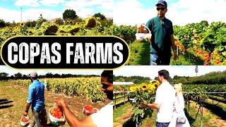 COPAS FARMS  Pick Your Own Fruit Farm Iver London [upl. by Disario]