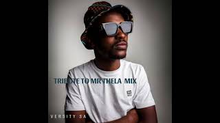 Tribute To Mr Thela Mix  Versity SA [upl. by Fagan262]