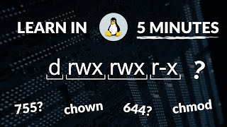 Linux File Permissions in 5 Minutes  MUST Know [upl. by Cassondra]