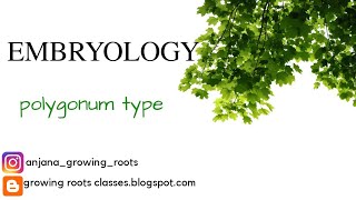 EMBRYOLOGY  Polygonum Type Embryosac Development Mayalam Explanation  BSc Botany [upl. by Aihsele]