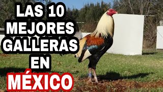 Las 10 mejores Galleras en México [upl. by Adnwahsar377]