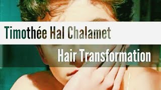 Timothée Chalamet HAIR TRANSFORMATIONS WATCH UNTIL THE END [upl. by Nohsav513]