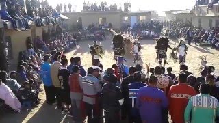 Hopi Buffalo Dance in Tewa First Mesa [upl. by Durware532]