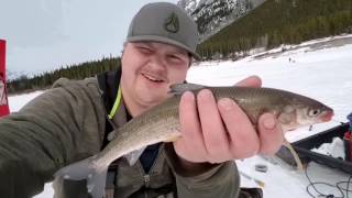 Kananaskis Country Fishing  Char amp Rocky Mountain Whitefish [upl. by Aienahs]