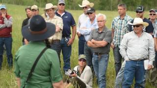 How to monitor soil health and bio stimulants using a refractometer [upl. by Chantal]