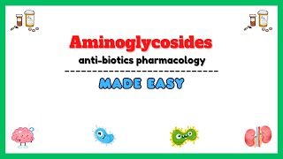 Antibiotics pharmacology aminoglycosides pharmacology clinical pharmacology lectures antibiotics [upl. by Ameerak976]