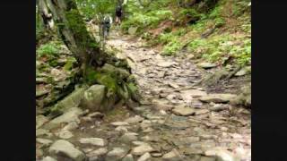 MOJE BIESZCZADY [upl. by Adnilra376]