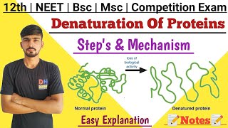 Denaturation Of Proteins In Hindi  Native Protein  Biochemistry  By Dadhich Sir [upl. by Hambley366]