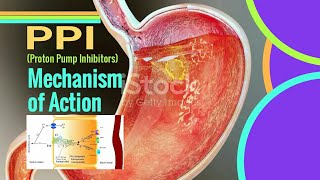 PPI Mechanism of Action  Proton pump inhibitors mechanism of action [upl. by Eybba]