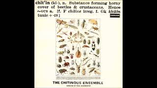 The Chitinous Ensemble  Chitinous 1971 FULL ALBUM  AvantGarde Jazz [upl. by Maker]