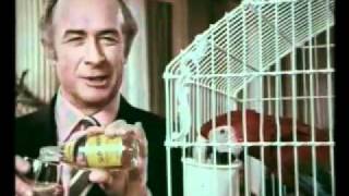 Schweppes Tonic Water TV advert by OampM quot Parrotquot 1971 [upl. by Lovett]