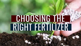 Choosing the right fertilizer for vegetable gardens [upl. by Ynffit362]