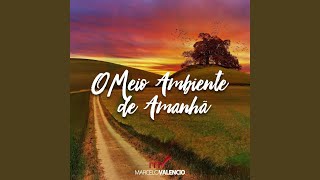 O Meio Ambiente de Amanhã [upl. by Oigaib]