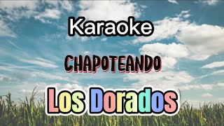 Karaoke  Los Dorados  Chapoteando [upl. by Fotina]