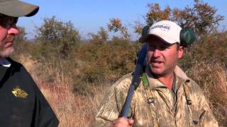 What Are The Best Hunting Calibers For African Game [upl. by Ennaisoj]